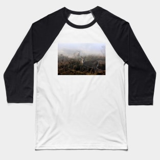 The rut is on! - White-tailed deer in fog Baseball T-Shirt